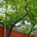 咸阳旅游 缩略图 10
