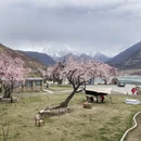 林芝旅游 缩略图 11