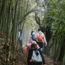 重庆旅游 缩略图 16