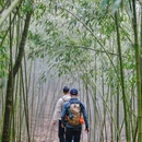 重庆旅游 缩略图 8