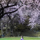 林芝旅游 缩略图 8