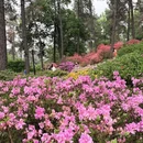 杭州旅游 缩略图 8