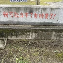 黄山旅游 缩略图 14