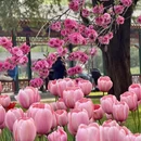 北京旅游 缩略图 15