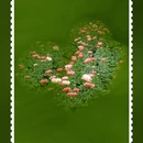 德阳旅游 缩略图 7