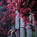 成都旅游 缩略图 10