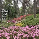 杭州旅游 缩略图 10
