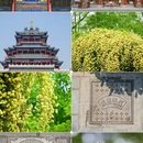 咸阳旅游 缩略图 17