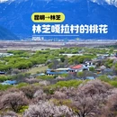 林芝旅游 缩略图 1