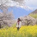 林芝旅游 缩略图 12