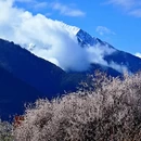 林芝旅游 缩略图 10