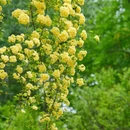 咸阳旅游 缩略图 5