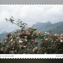 德阳旅游 缩略图 11