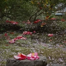 北京旅游 缩略图 12