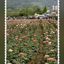 德阳旅游 缩略图 10