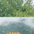 黄山旅游 缩略图 4