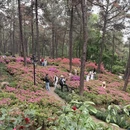 杭州旅游 缩略图 12
