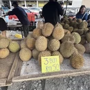 昆明旅游 缩略图 4