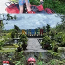 三亚旅游 缩略图 12