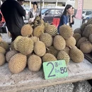 昆明旅游 缩略图 3