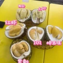 昆明旅游 缩略图 1