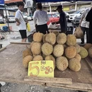 昆明旅游 缩略图 5