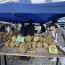 昆明旅游 缩略图 7