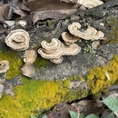 昆明旅游 缩略图 6