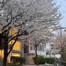 北京旅游 缩略图 6