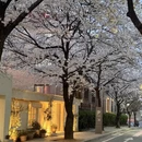 北京旅游 缩略图 1