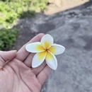三亚旅游 缩略图 8