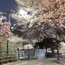 北京旅游 缩略图 4
