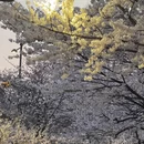 北京旅游 缩略图 5