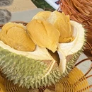昆明旅游 缩略图 5