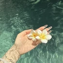 三亚旅游 缩略图 7