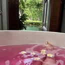 三亚旅游 缩略图 8