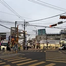 大连旅游 缩略图 7