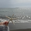 三亚旅游 缩略图 10