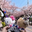 三亚旅游 缩略图 2