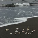三亚旅游 缩略图 2