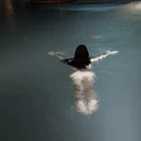 三亚旅游 缩略图 10