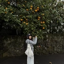 三亚旅游 缩略图 5