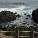 三亚旅游 缩略图 3