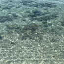三亚旅游 缩略图 6