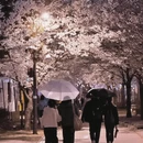 北京旅游 缩略图 3