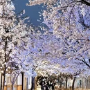 北京旅游 缩略图 6