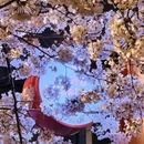 北京旅游 缩略图 7