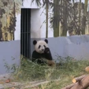 洛阳旅游 缩略图 3