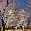 北京旅游 缩略图 5