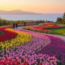 舟山旅游 缩略图 7